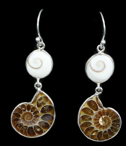 Fossil Ammonite Earrings - Sterling Silver #38142